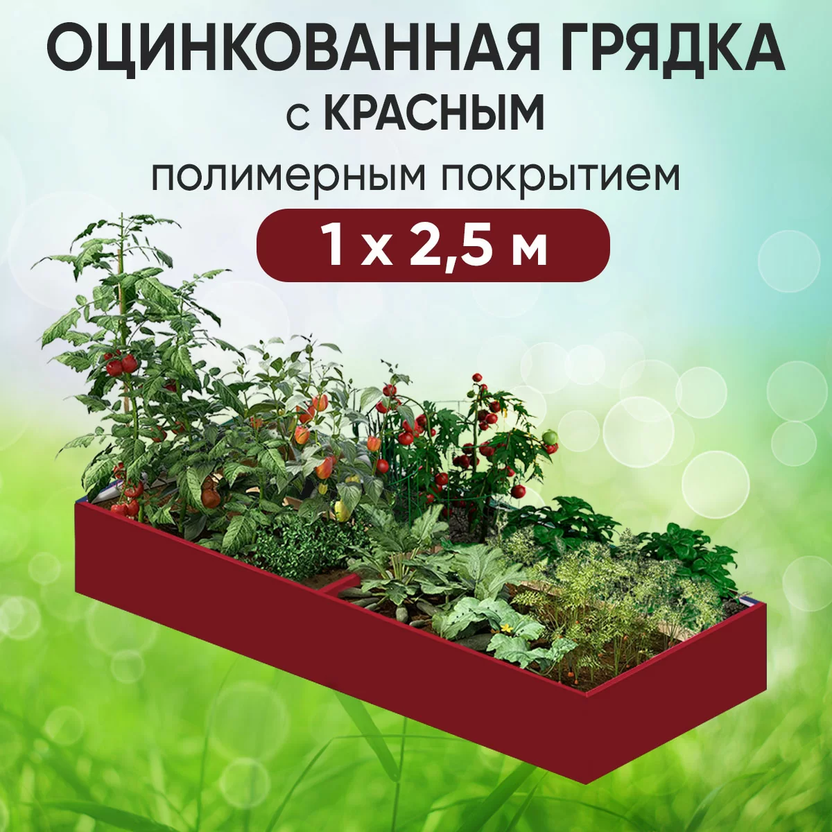 Грядка красная (1 х 2,5)